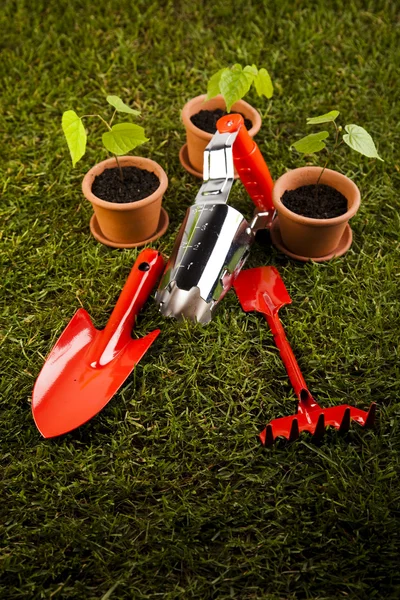 Koncepcja narzędzi ogrodowych — Zdjęcie stockowe