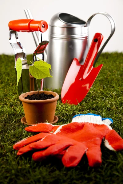 Concepto de herramientas de jardín — Foto de Stock
