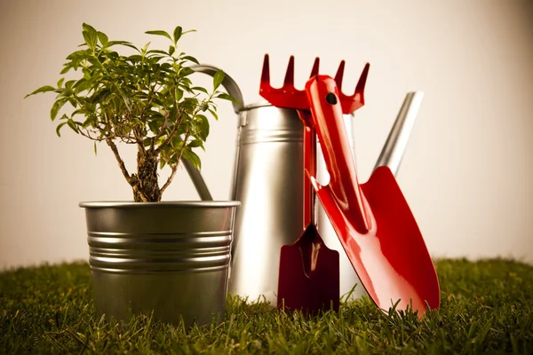 Gieter en tuin — Stockfoto