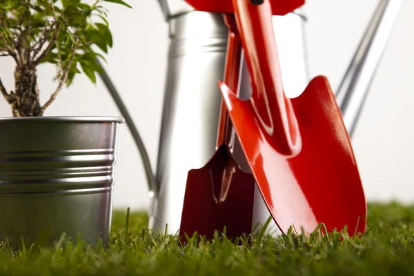 Rega pode e ferramentas de jardinagem — Fotografia de Stock