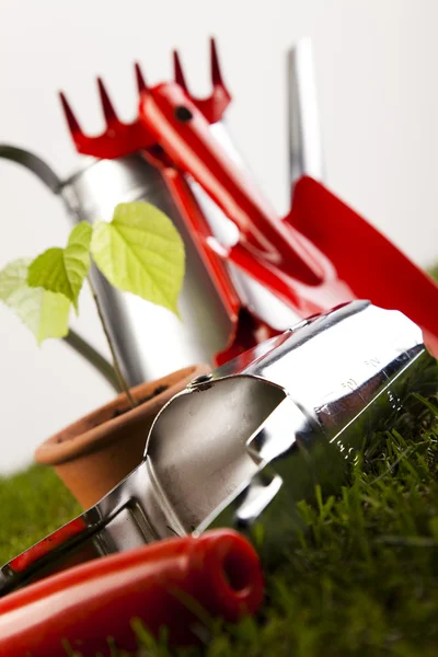 Watering Can And Gardening Tools — Stock Photo, Image