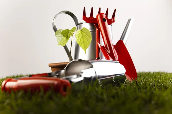 Regadera y herramientas de jardinería —  Fotos de Stock