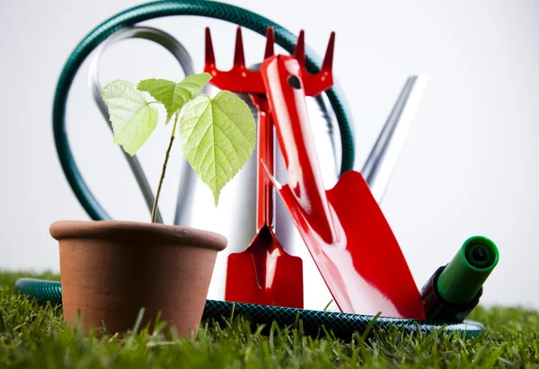Locsolókanna és kerti szerszámok — Stock Fotó