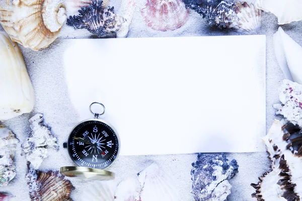 用紙の背景と貝殻 — ストック写真