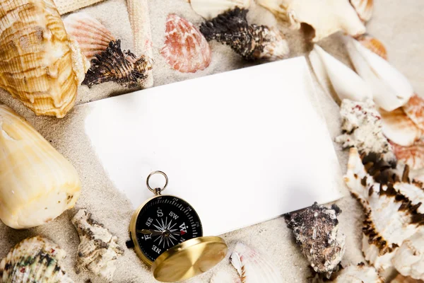 Kağıt arka plan ve deniz kabuğu — Stok fotoğraf