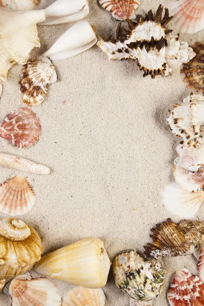 Sand, beskeder, skaller og bedst fra ferie - Stock-foto