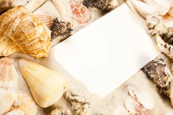 Sands, messages, shells and best from holidays — Stock Photo, Image
