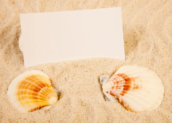 ข้อความระหว่างทรายและเปลือกหอย — ภาพถ่ายสต็อก