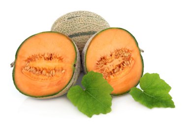 Cantaloupe Melon clipart