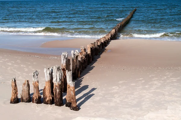 木製の防波堤 ロイヤリティフリーのストック画像