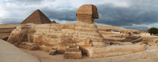 Egyptische sphinx — Stockfoto