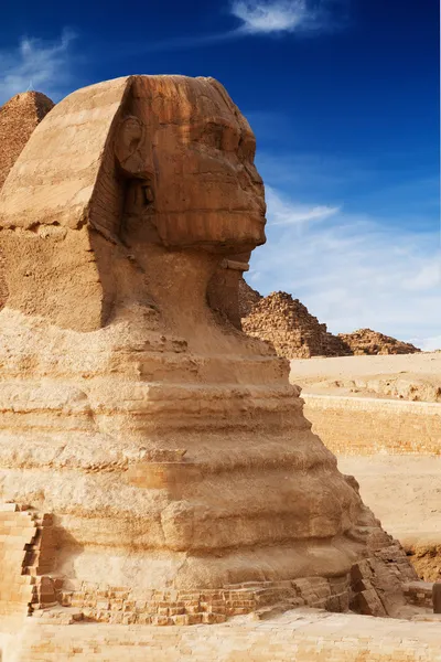 Sfinks Giza — Zdjęcie stockowe