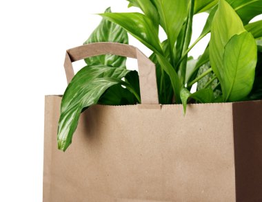 Eco bag clipart