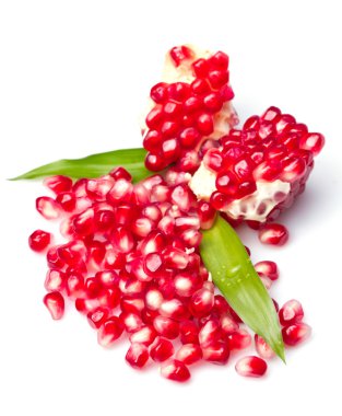 Pomegranate clipart