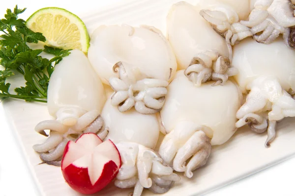 Fresh cuttlefish — Stock Photo, Image