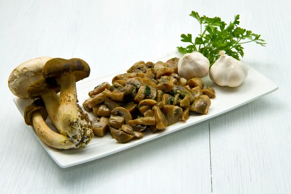 stock image Mushrooms