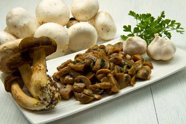 Stock image Mushrooms