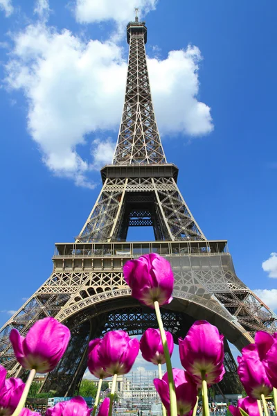 투어 에펠 — 스톡 사진