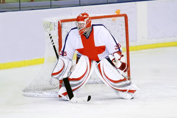 Ice hockey keeper — Stockfoto