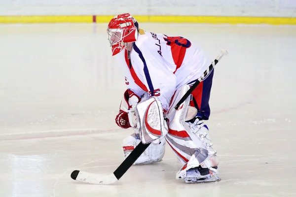 Ice hockey keeper — Stockfoto