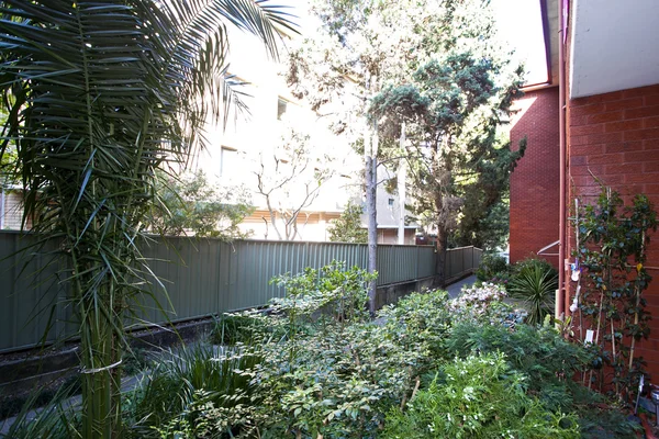 Deck und Garten — Stockfoto