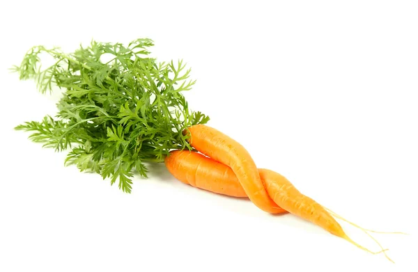 Пара моркови — стоковое фото