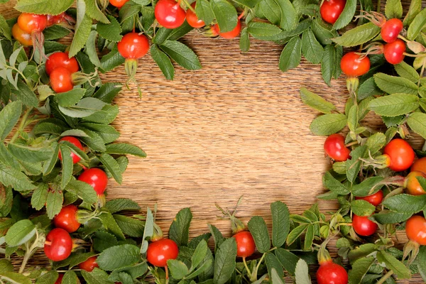 Dogrose sur une surface en bois — Photo
