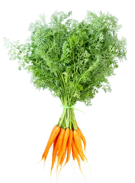 गाजर का एक समूह — स्टॉक फ़ोटो, इमेज
