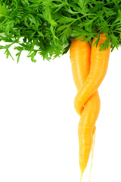 Par de zanahorias — Foto de Stock