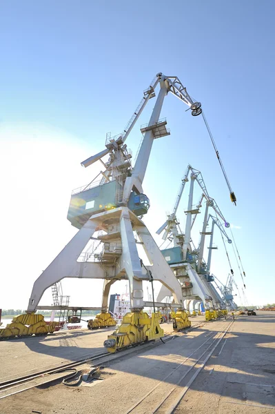 Port cranes — Stock Photo, Image