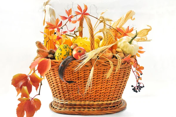 Autumnal basket over white — Stock Photo, Image