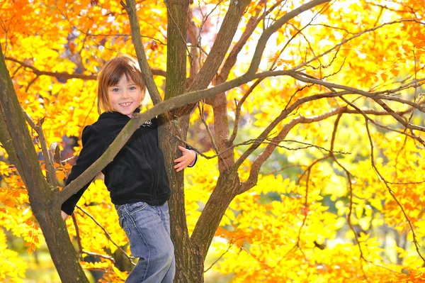 Маленькая девочка забралась на дерево — стоковое фото
