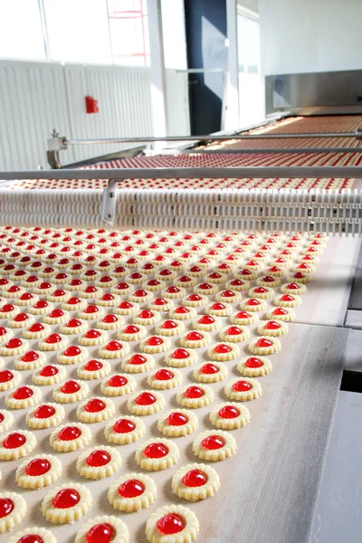 공장에서 생산 쿠키 — 스톡 사진