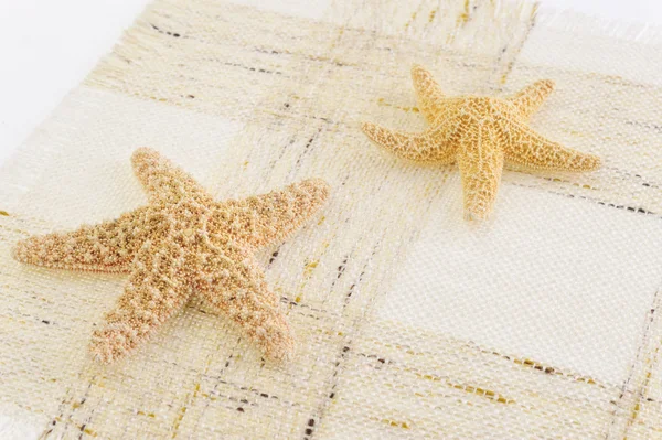 Дві морські зірки, ізольовані — стокове фото