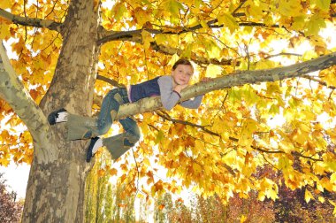 Girl climbed on tree clipart