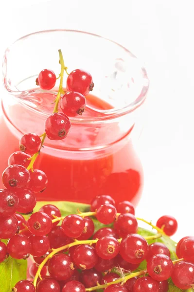Red currant drink and berries — Stock Photo, Image