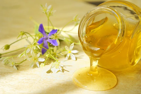 Fluxo de mel — Fotografia de Stock