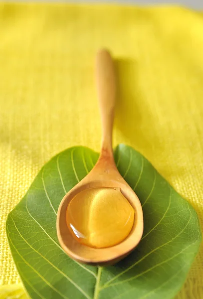 아카시아 꿀 — 스톡 사진