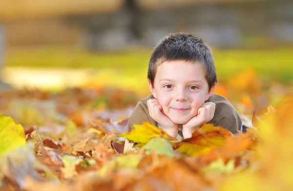 Criança brincando com folhas — Fotografia de Stock