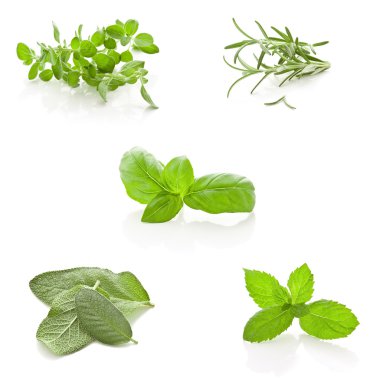 Herbs Collage on white background clipart