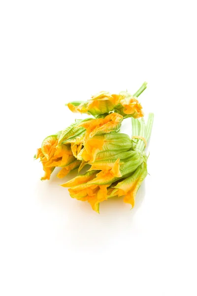 Flores de calabacín — Foto de Stock