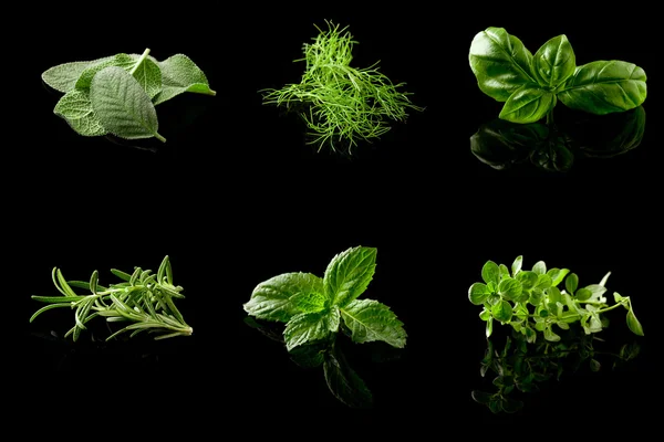 Colagem de ervas no fundo preto — Fotografia de Stock