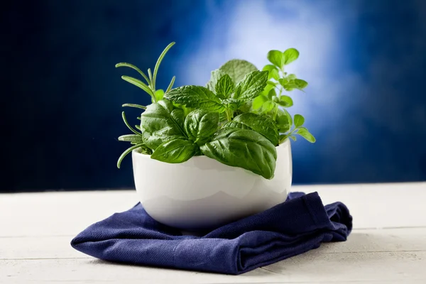 Herbs highlighted by spot light — Stock Photo, Image