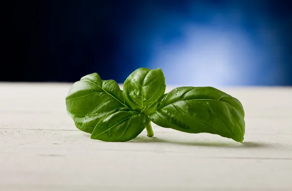 Basil leaves on wooden table highlighted by spot light — Stock Photo, Image