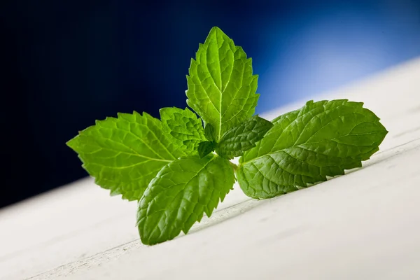 Mint leaves on wooden table with spot light — Stock Photo, Image