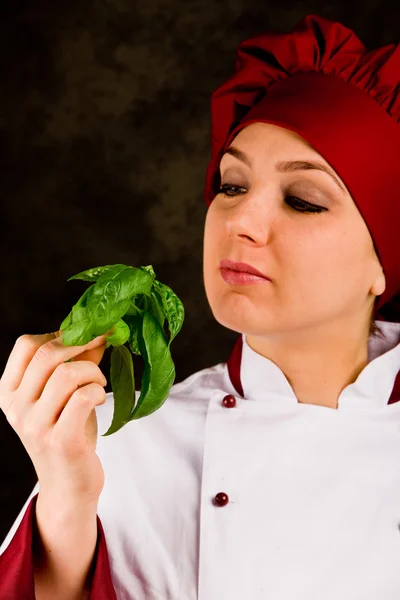 Chef is controlling basil quality — Stock Photo, Image