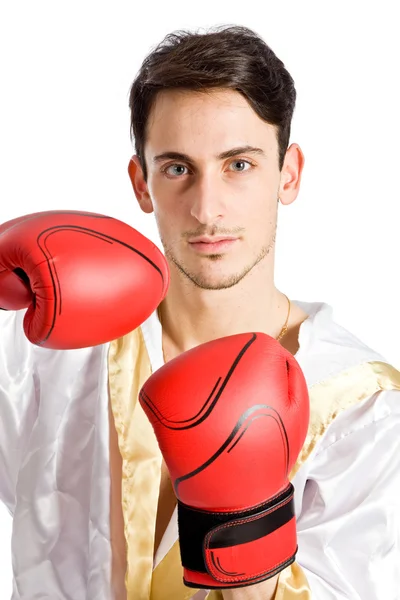 Boxer — Stock Photo, Image