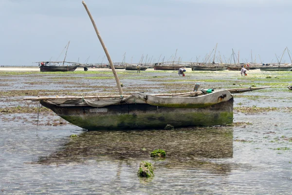 Ζανζιβάρη, ανοιχτά της Ζανζιβάρης: βάρκα — Φωτογραφία Αρχείου