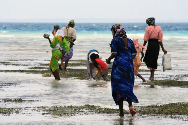 A nők és gyermekek Zanzibar — Stock Fotó