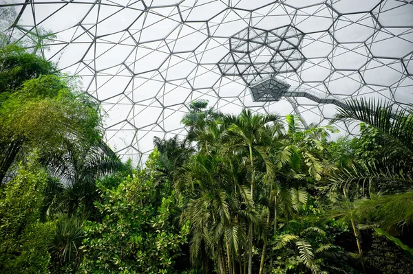 Eden Project — Stock Photo, Image